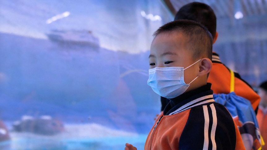 极地馆研学活动